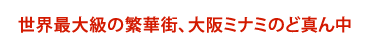 世界最大級の繁華街、大阪ミナミのど真ん中